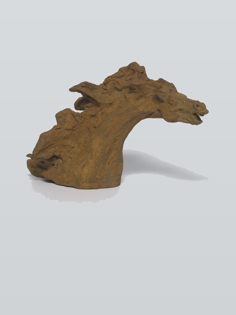 Aggressive Horsehead