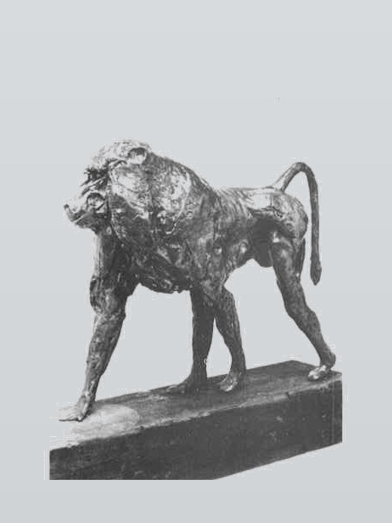 Baboon (The Leader)