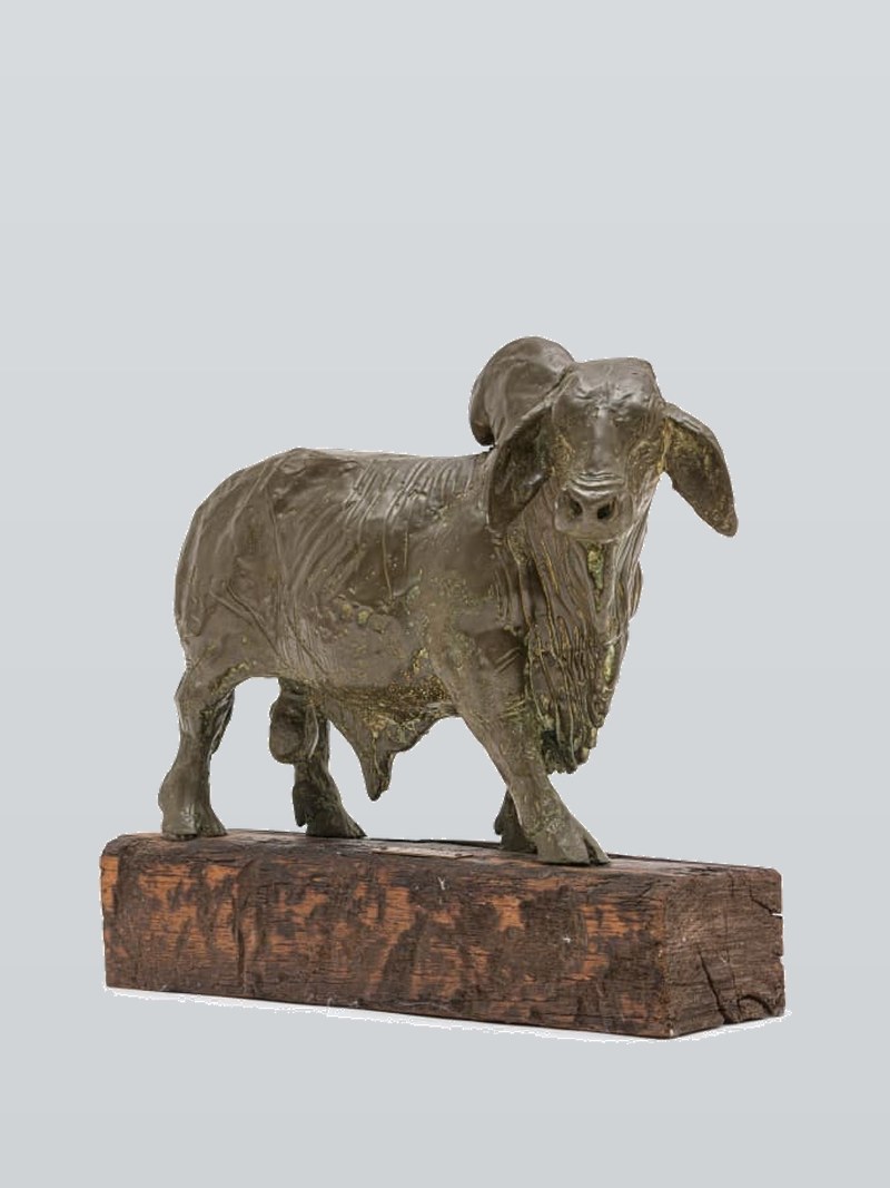 Brahman Bull, 1982.