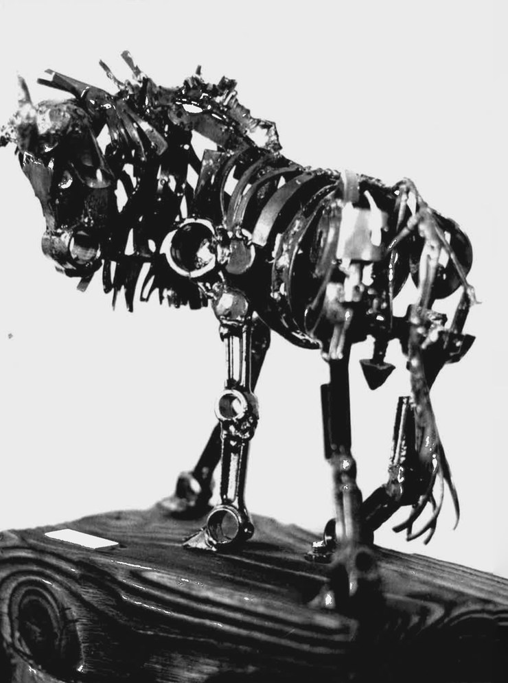 Wildebeest
