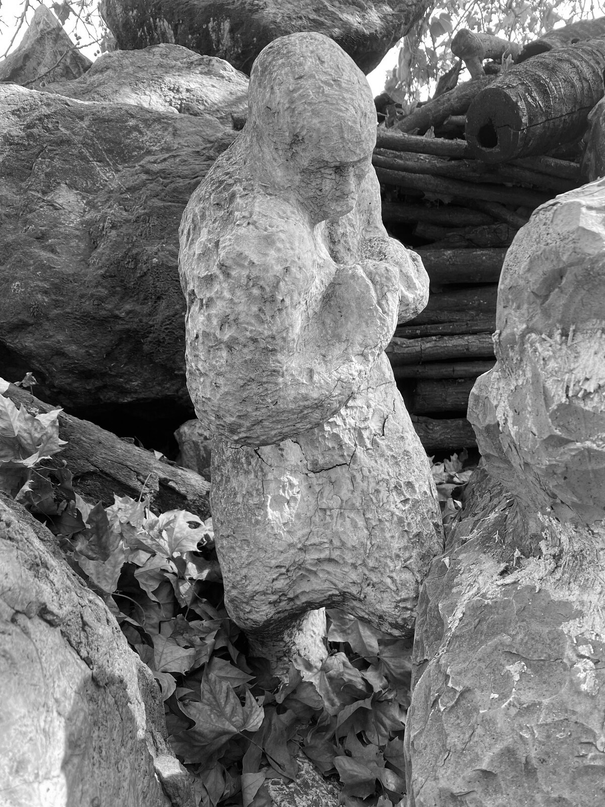 Stonehewn Rugby Player