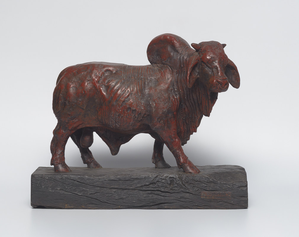 Brahman Bull — Humped bull study honouring farm power