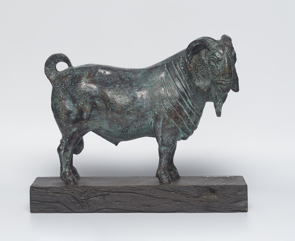 Dorper Ram