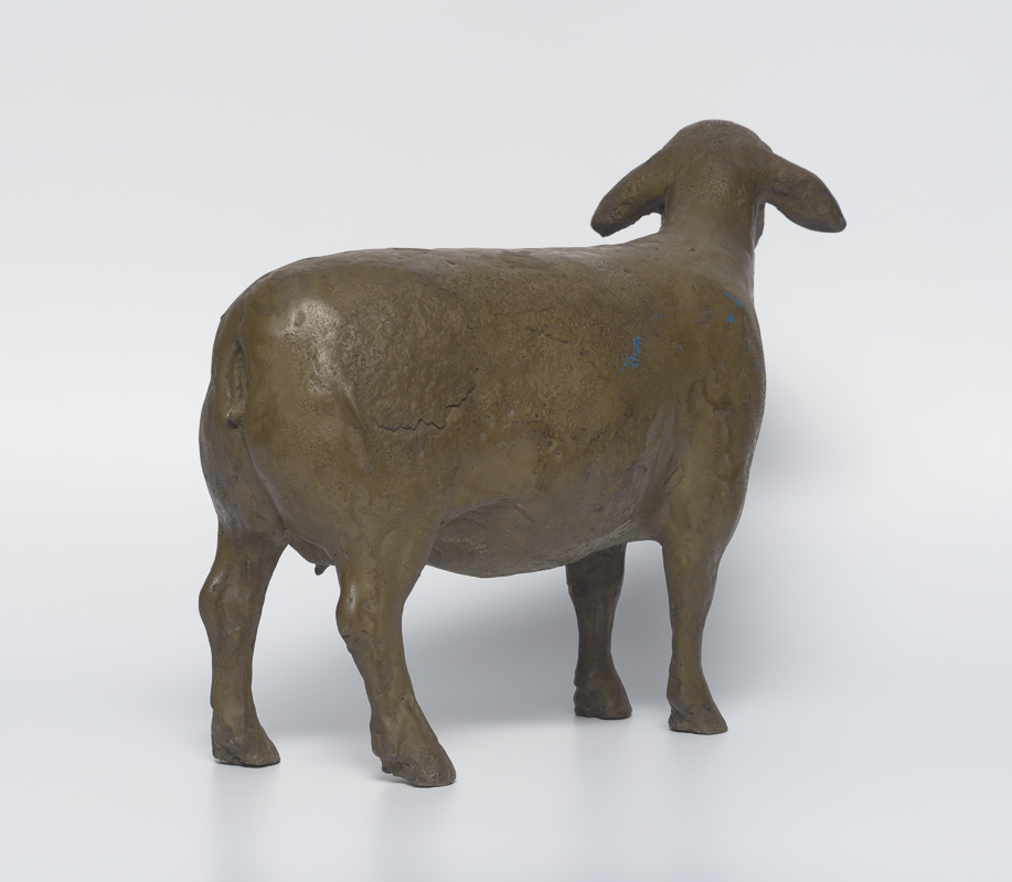 Merino Ewe — Gentle ewe, attentive posture, soft curves
