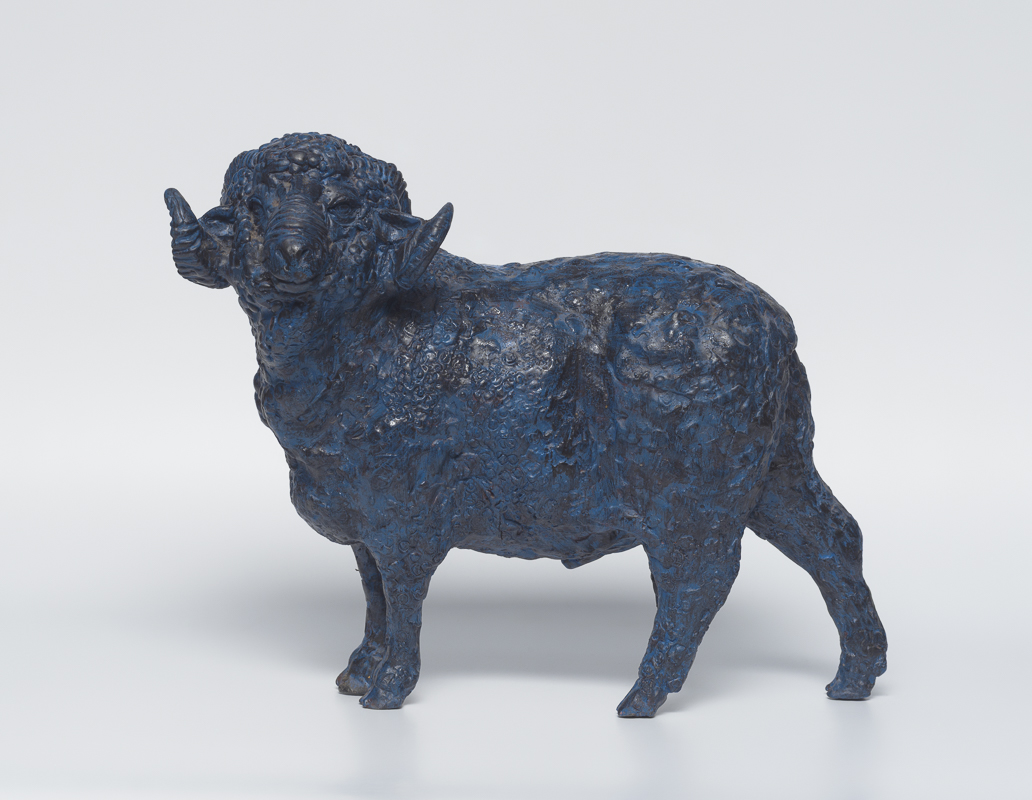 Merino Ram