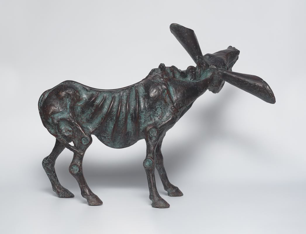 Wandering Donkey — Comic donkey, long ears, braying